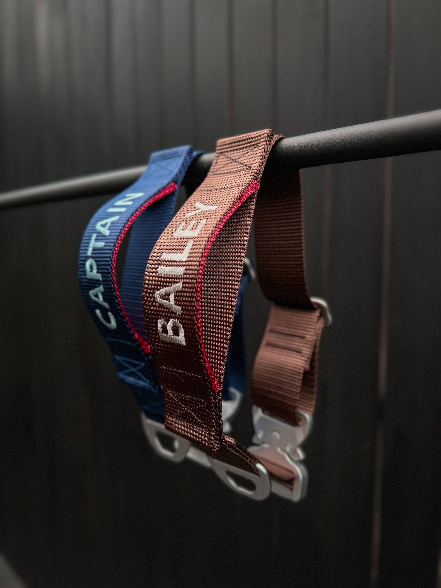 The Everyday Plus Collar