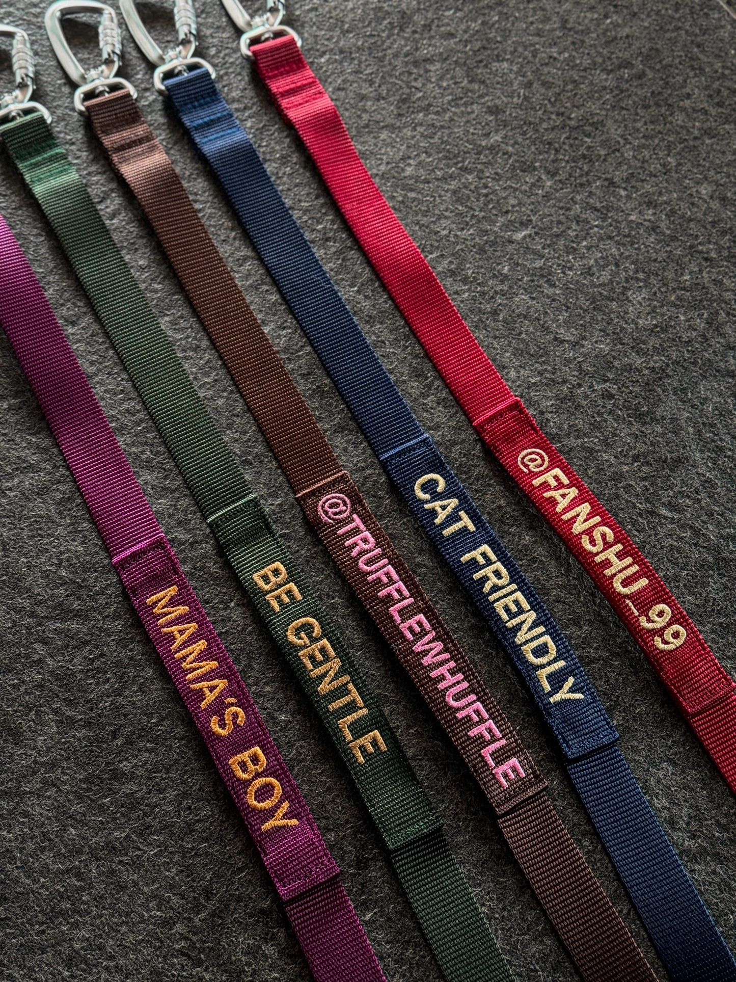 The Everyday Leash