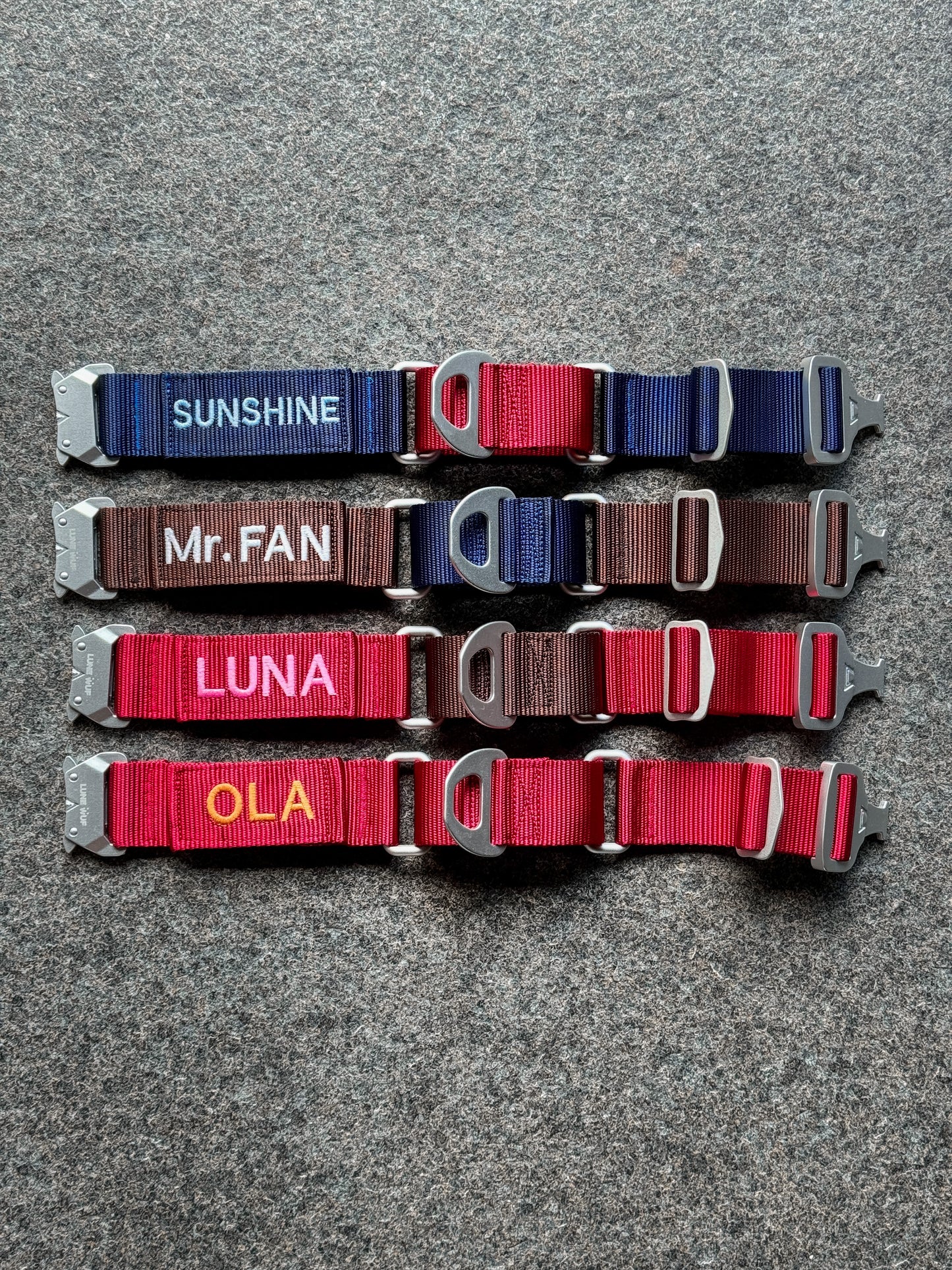 The Buckle Martingale