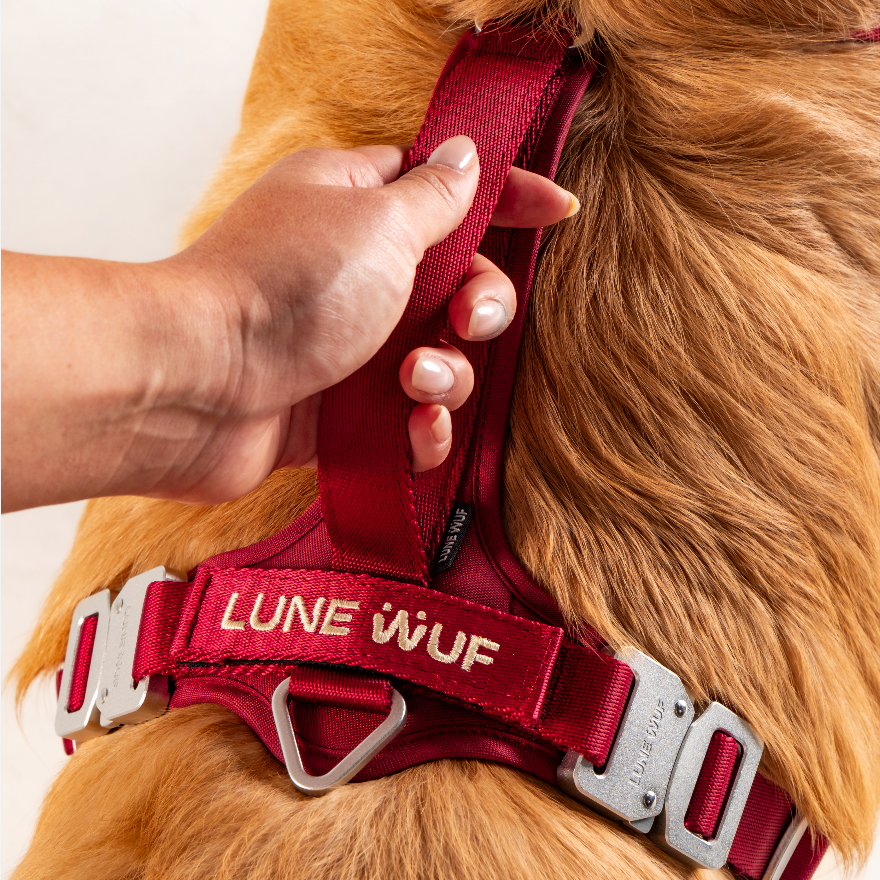 Y Harness Signature Red