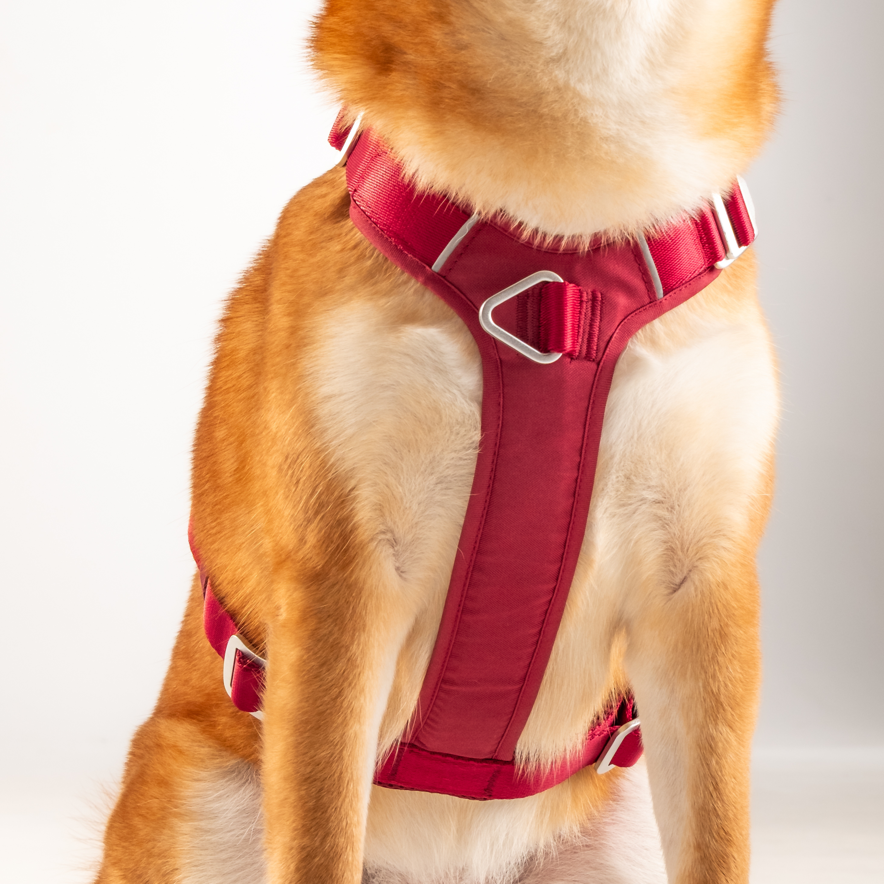 Y Harness Signature Red