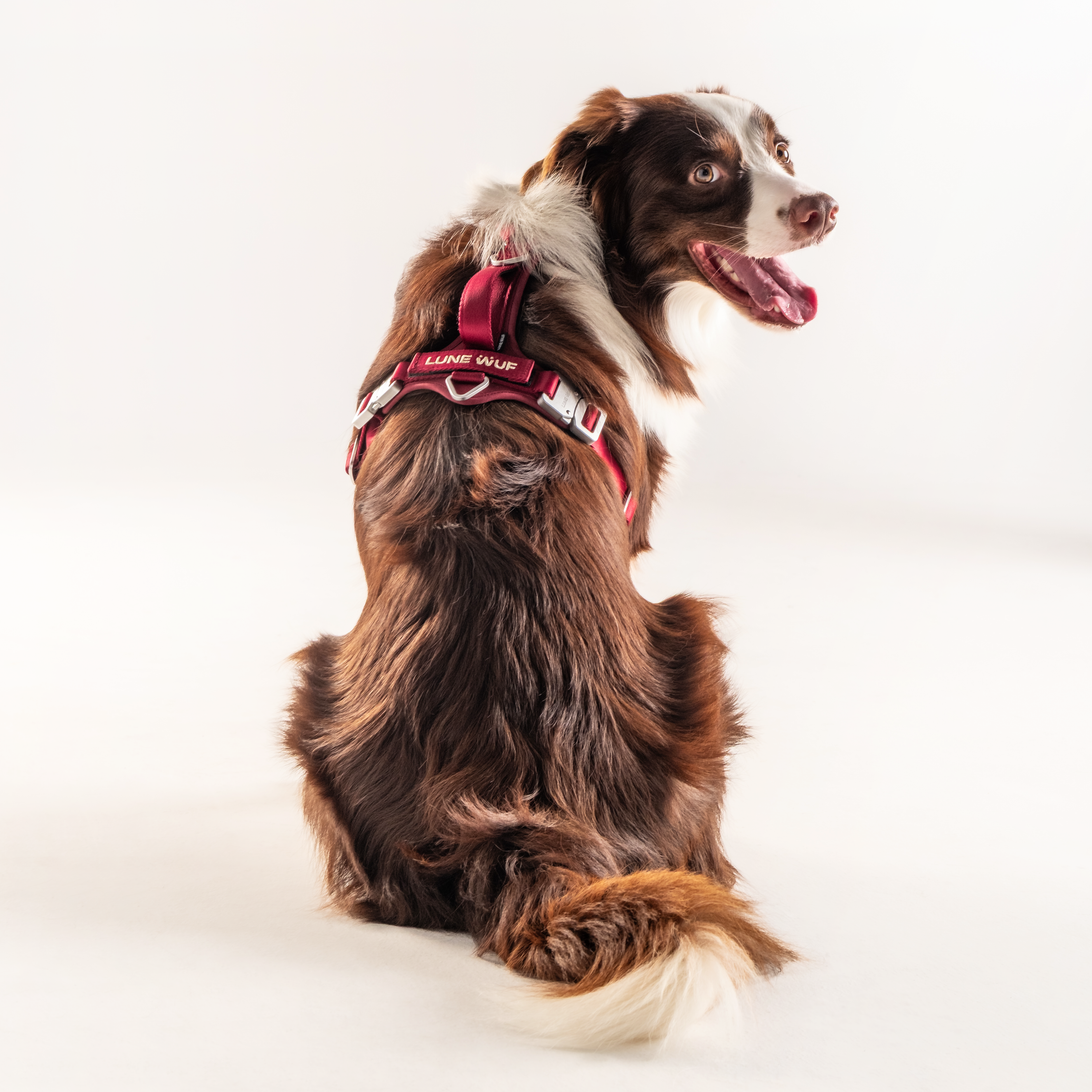 Y Harness Signature Red