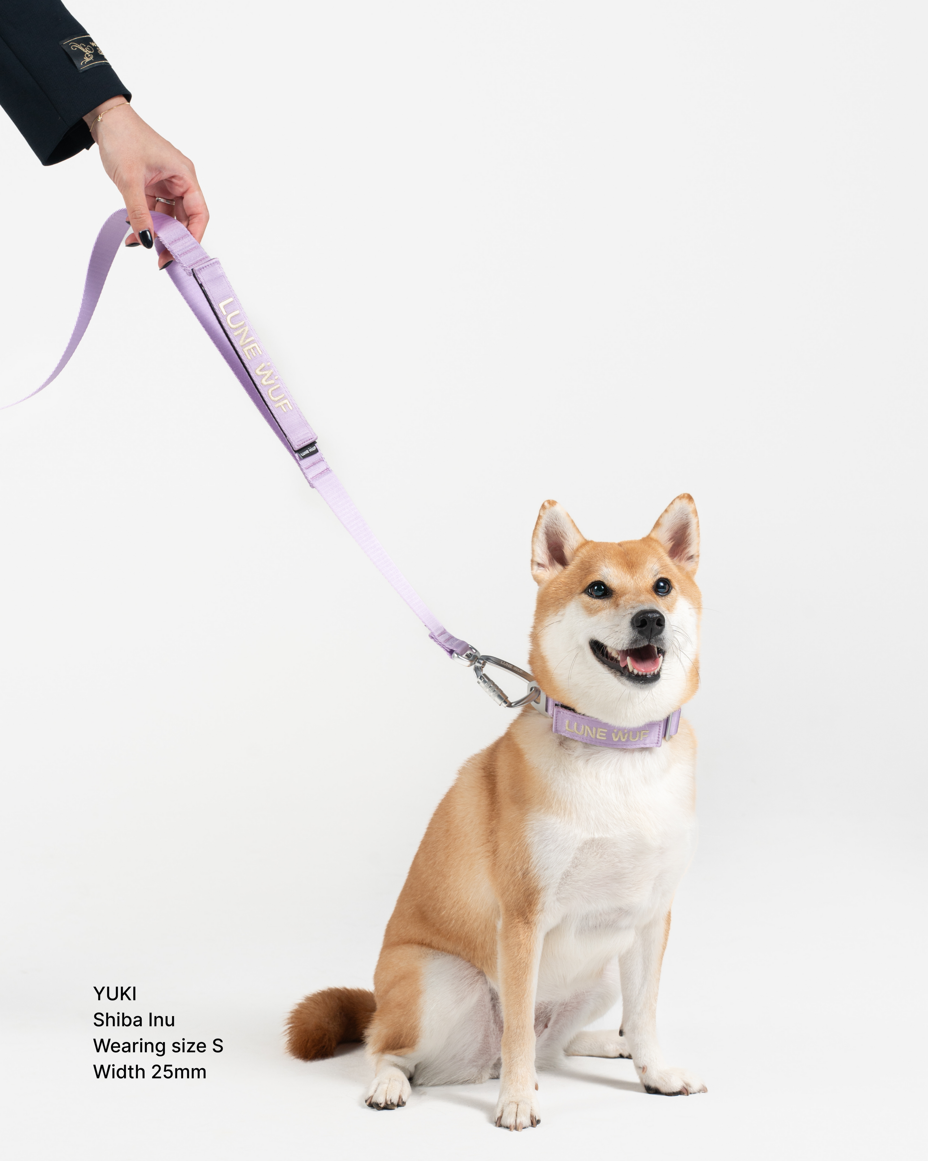 Everyday Collar Orchid Lilac