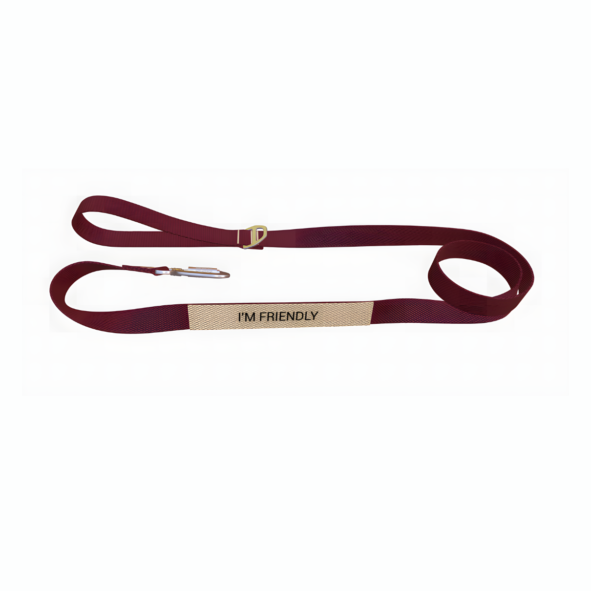 Everyday Leash By You