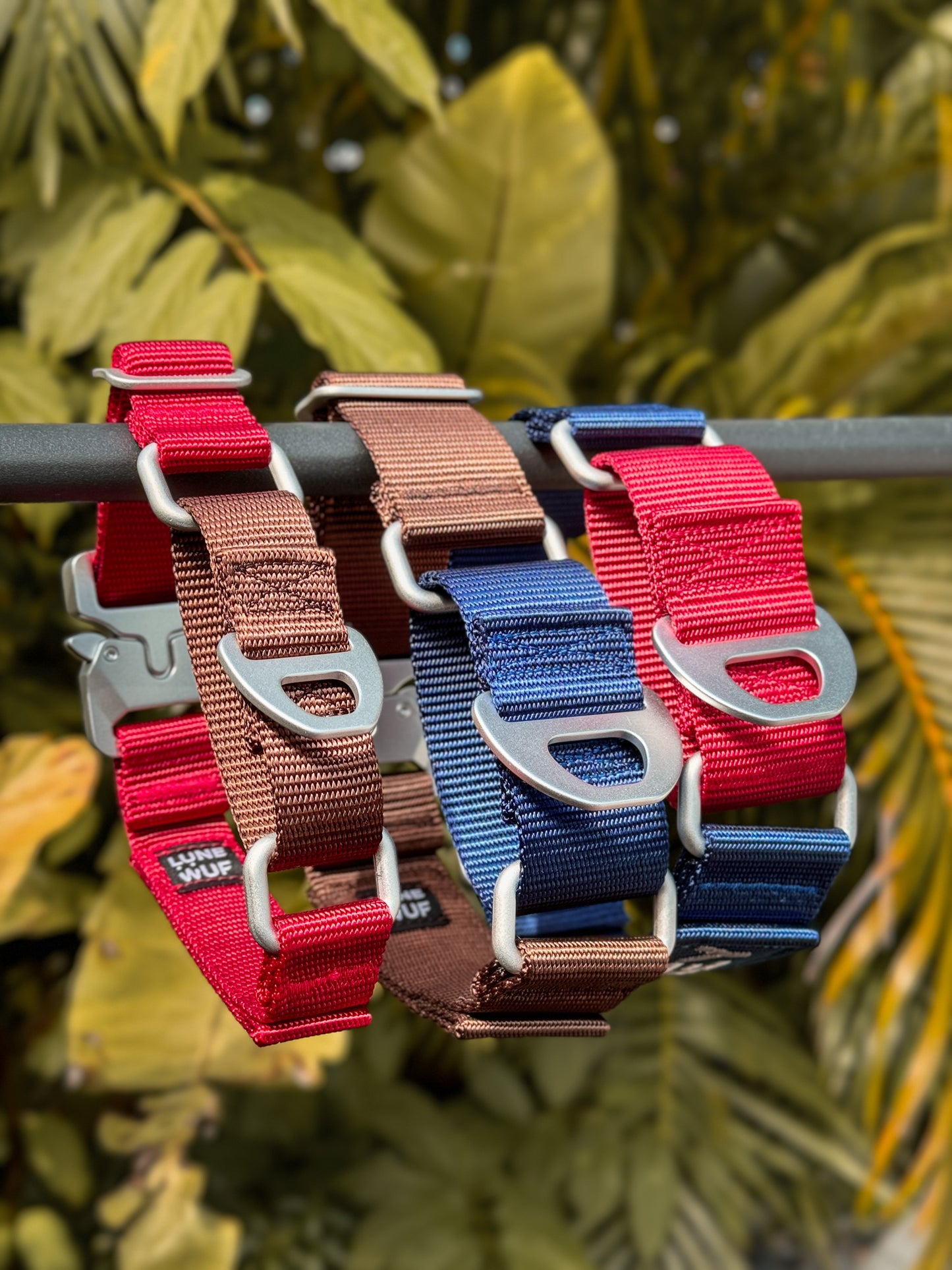 The Buckle Martingale
